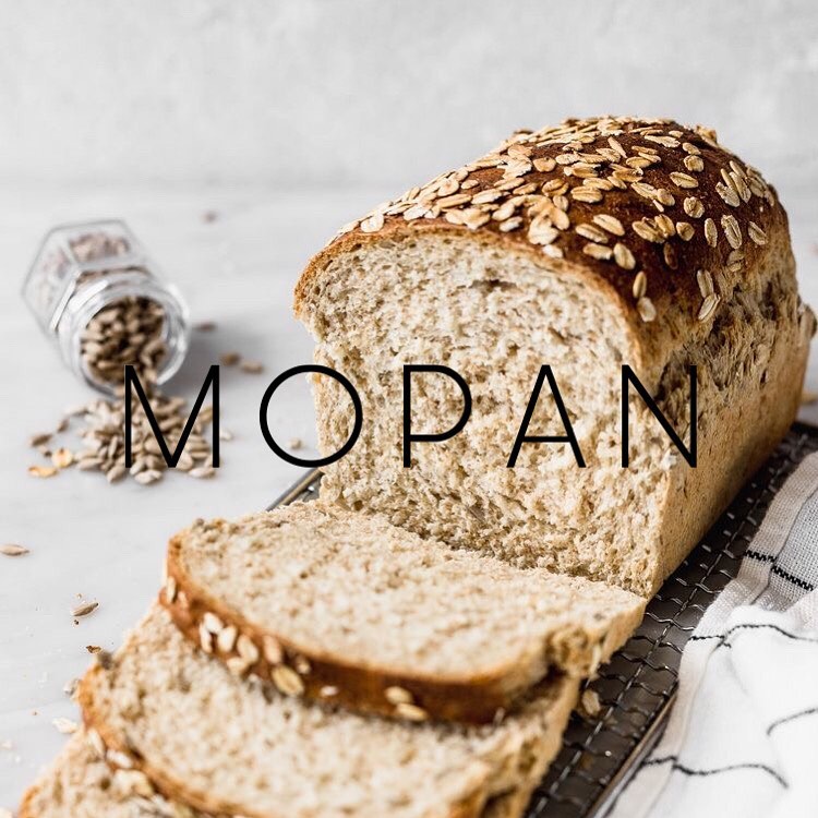 Mopan (Anti-moho) 1 kg – Magus